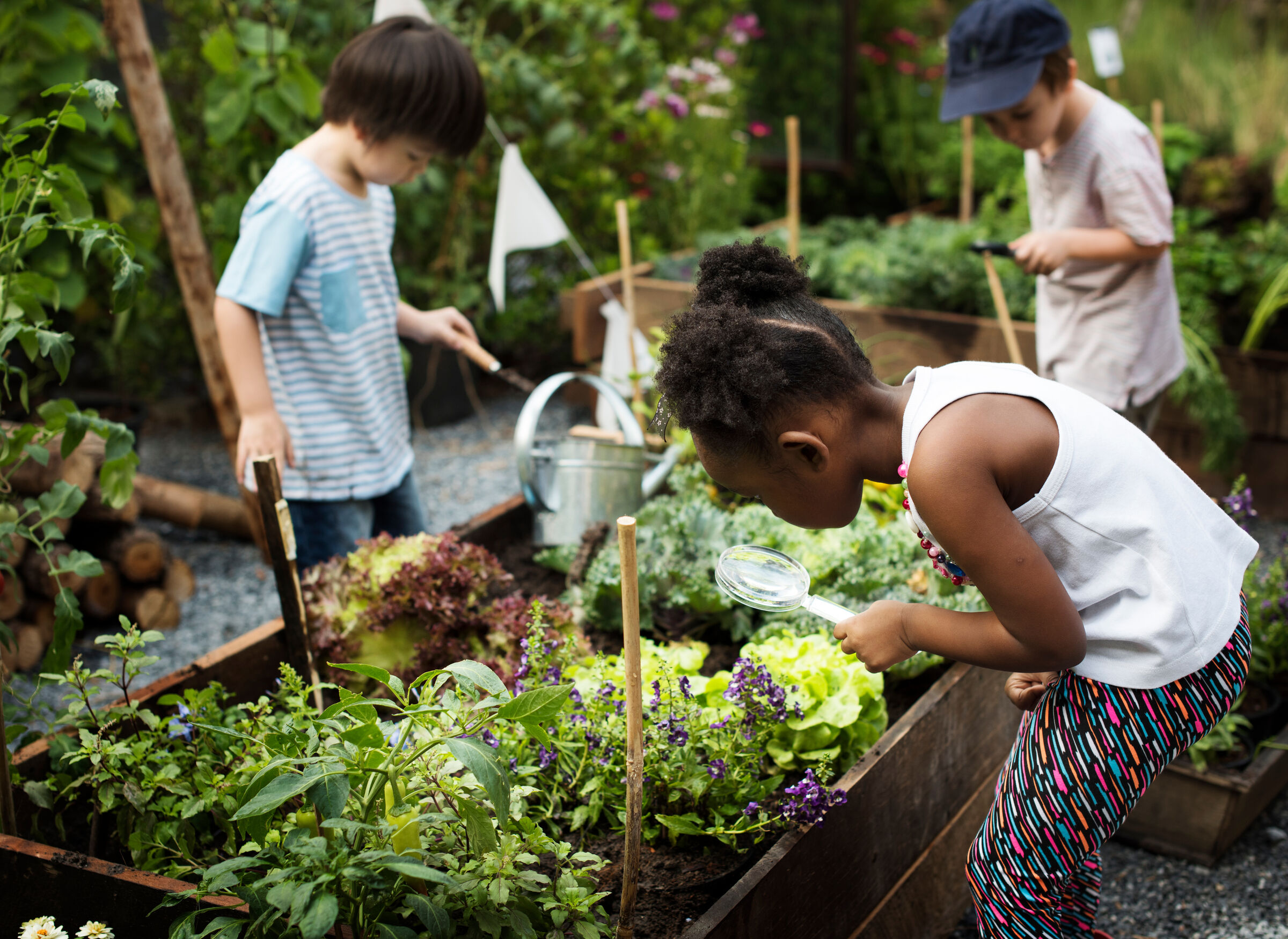 A group of children working together in the Hyphae House garden as part of the Homeschool Flex