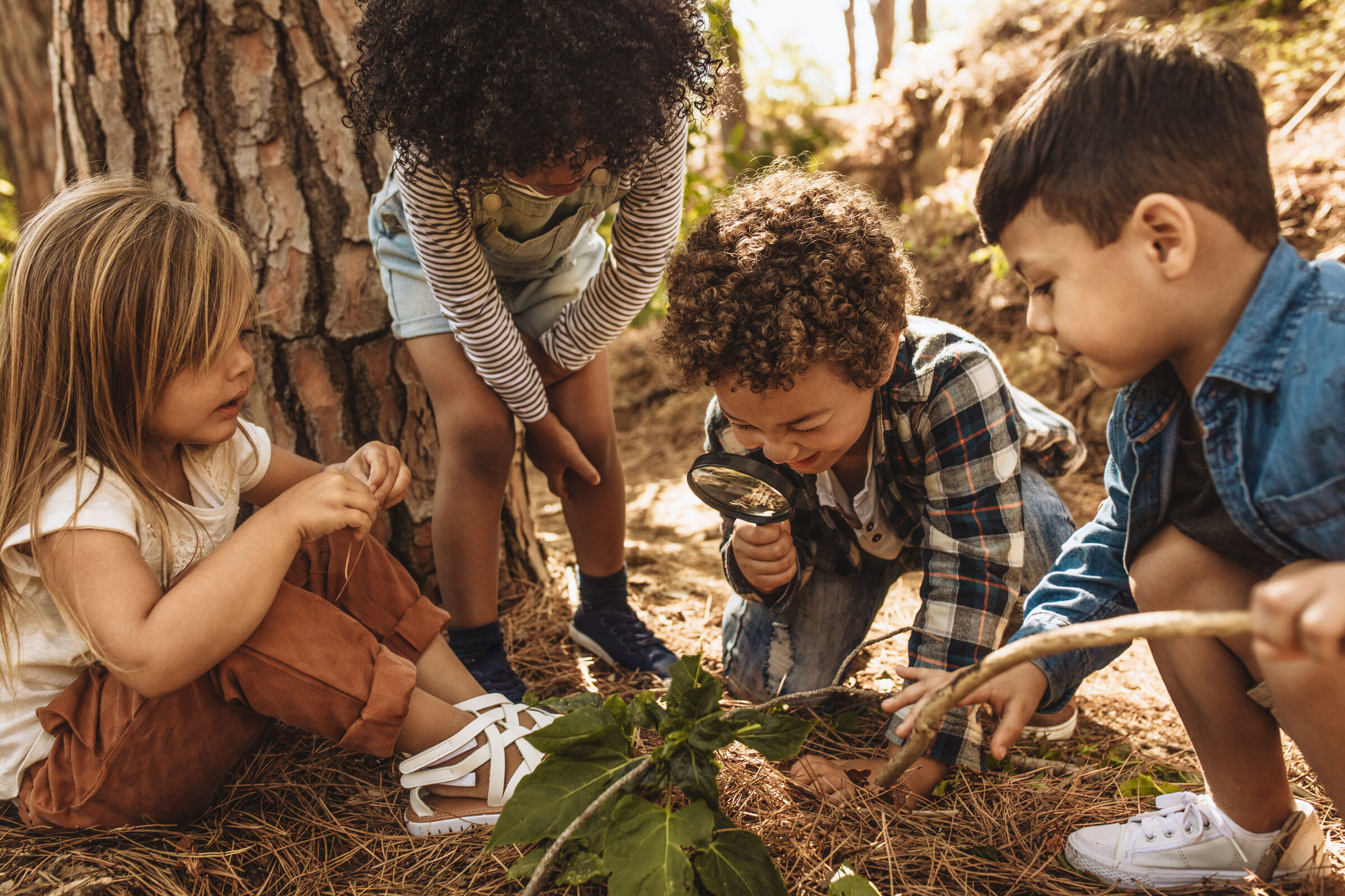 Children examining a discovery closely together during a Hyphae House summer camp session