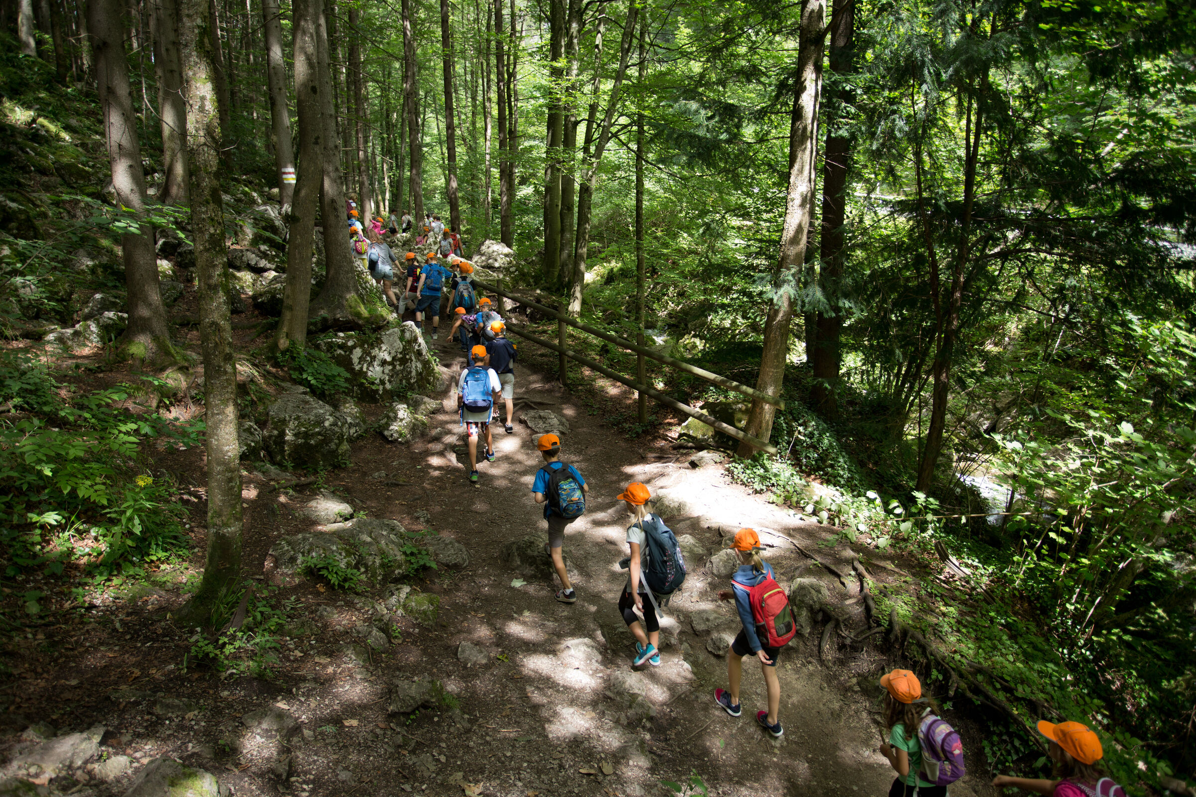 Children exploring the trails and forest on Hyphae House's sixteen-acre campus